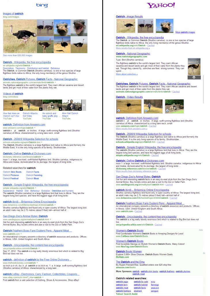 Bing Yahoo Search - Ostrich