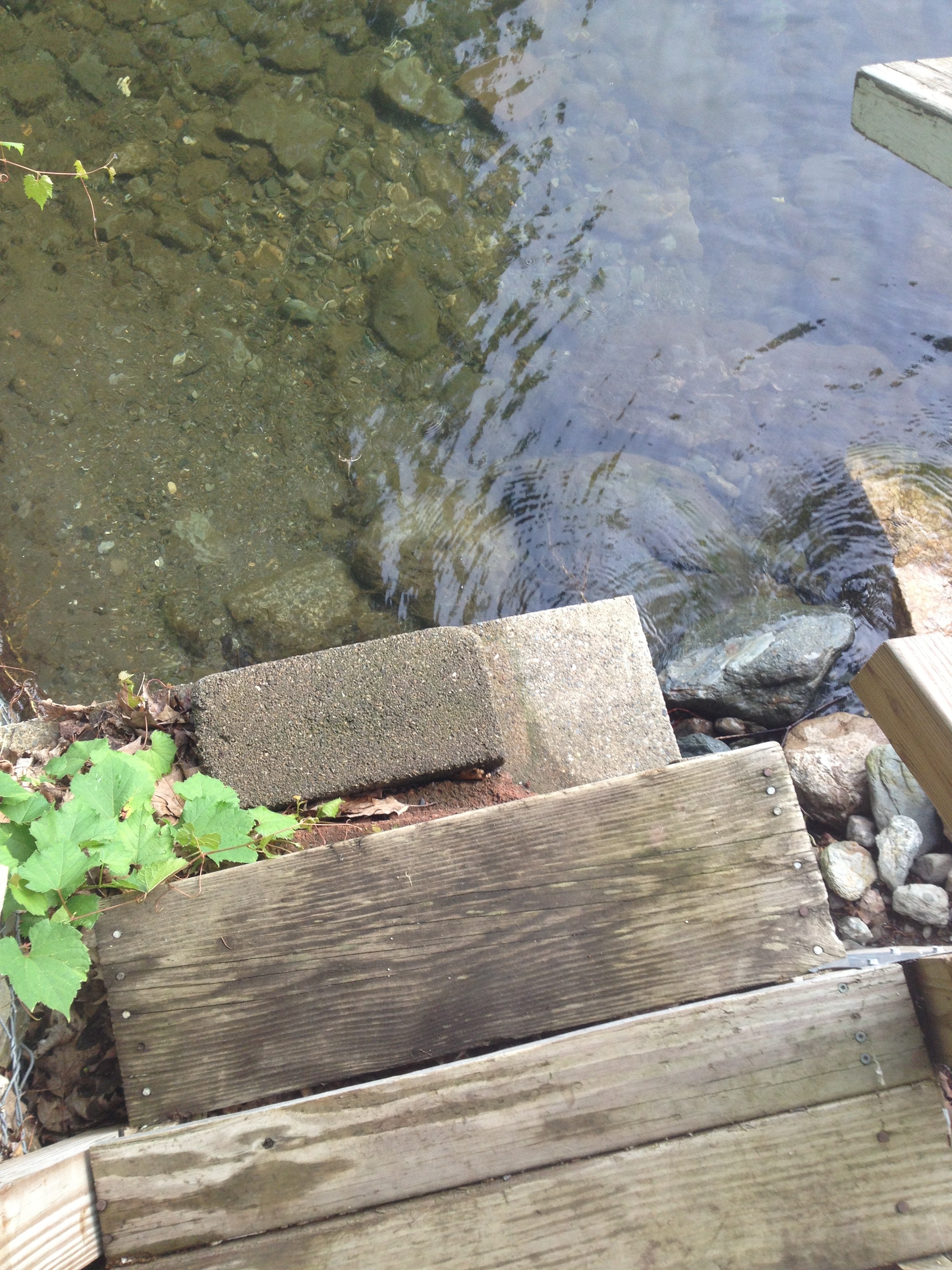 Lake Champlain High Water in Milton, VT