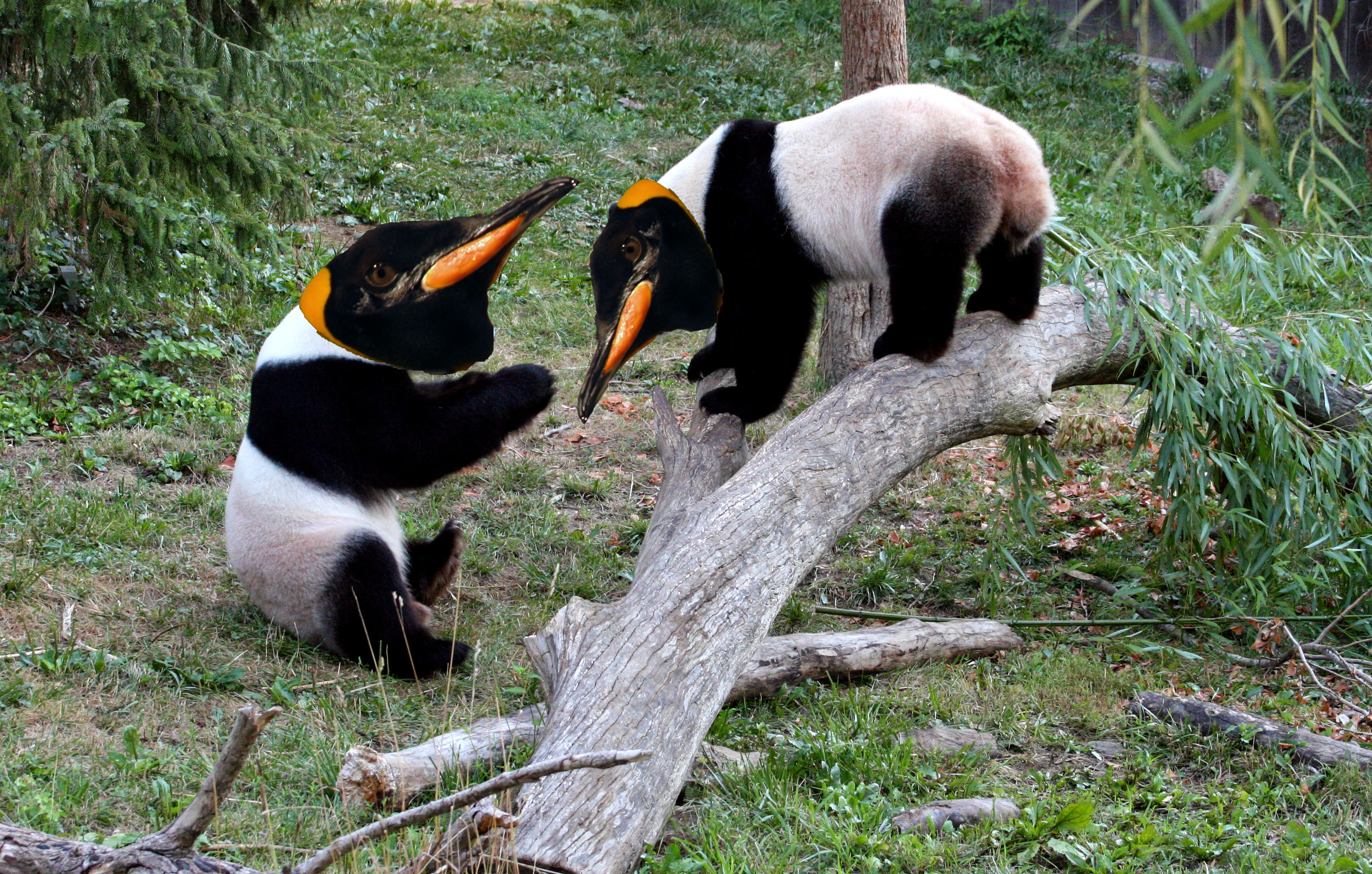 5 Google Animals for 2013 - Panda & Penguin Are So 2011/2012 | News | VDW